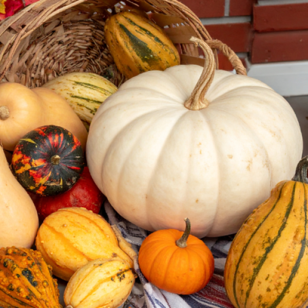 Festive Porch Bundle