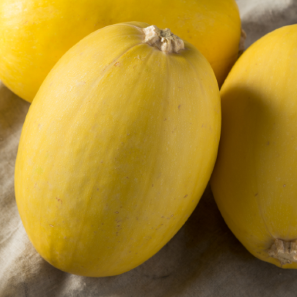 Spaghetti Squash (2-3 lbs)