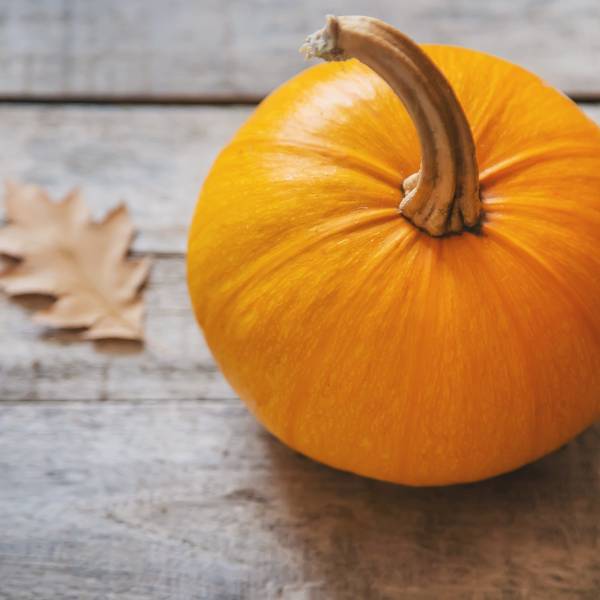 Sugar Pumpkin (2-3 lbs)